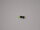 Adapter Mini-TAM Stecker auf T-Plug Buchse – RC & Airsoft Akkuadapter