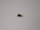 Adapter T-Plug Stecker auf Mini-Tamya Buchse – RC & Airsoft Akkuadapter